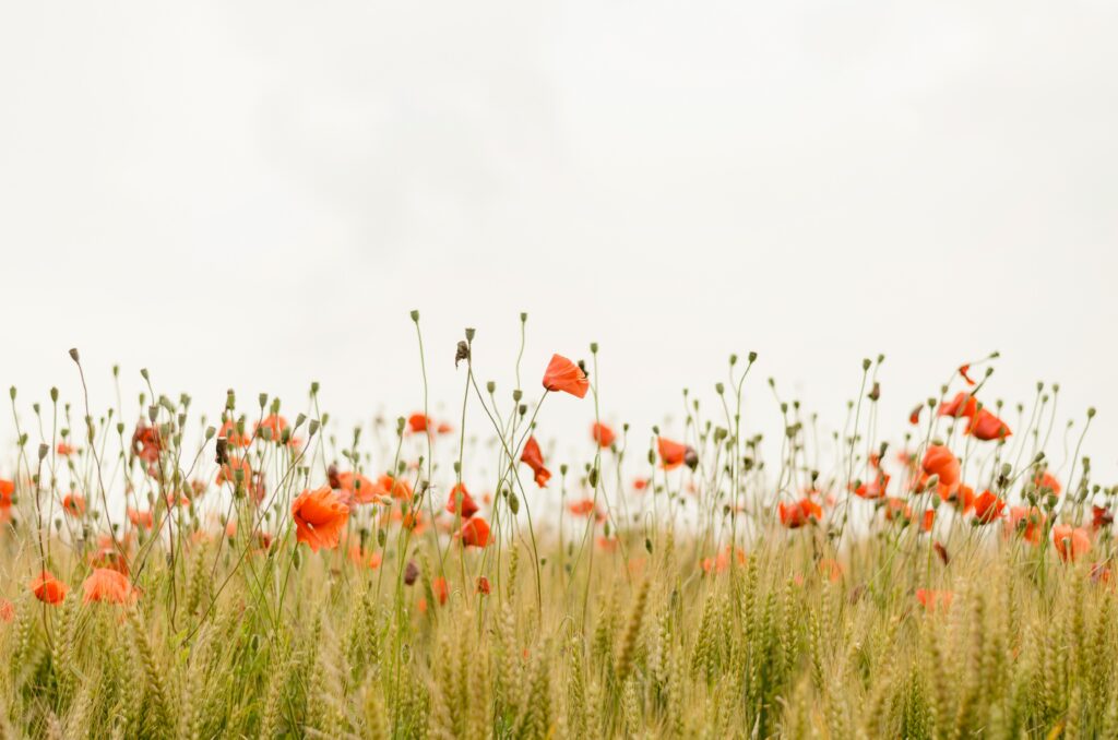 How to set healthy boundaries without losing yourself