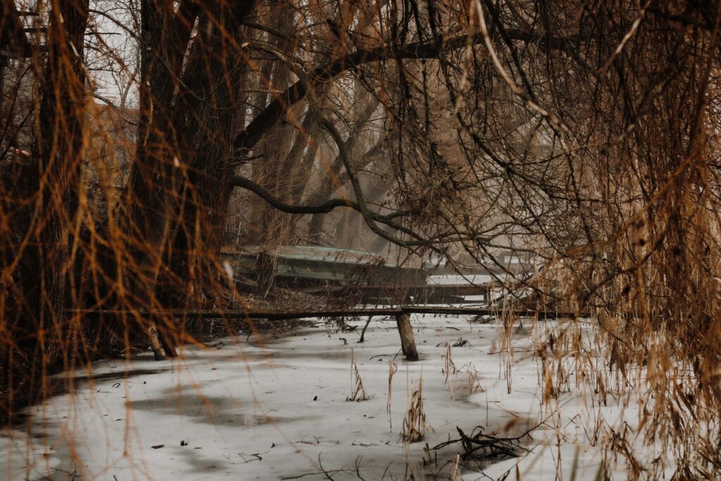 A blog by Kim Wylie Langley Counsellor